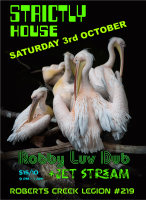 Strictly House - Robby Luvdub and Jet Stream